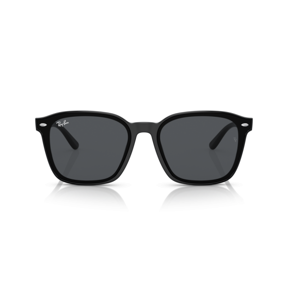 Ray-Ban RB 4392D 601/87 Güneş Gözlüğü