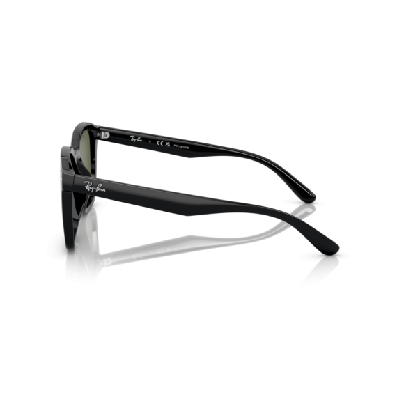 Ray-Ban RB 4392D 601/9A Güneş Gözlüğü