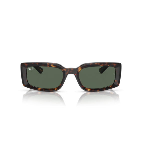 Ray-Ban RB 4395 135971 Güneş Gözlüğü