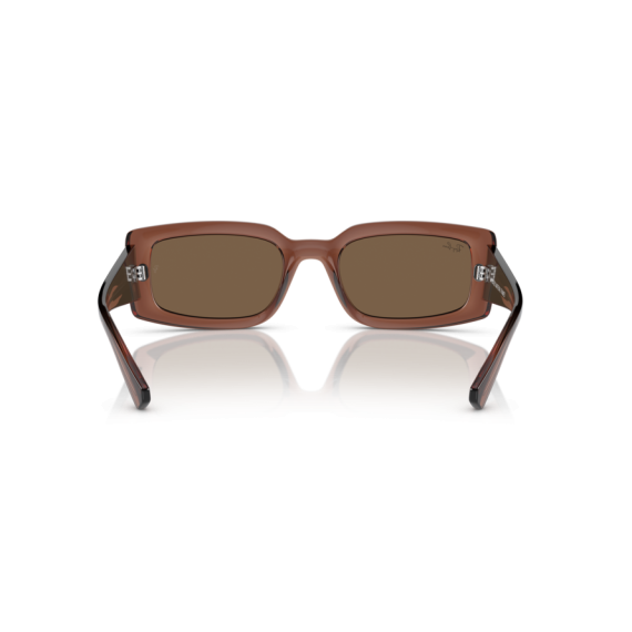 Ray-Ban RB 4395 667873 Güneş Gözlüğü