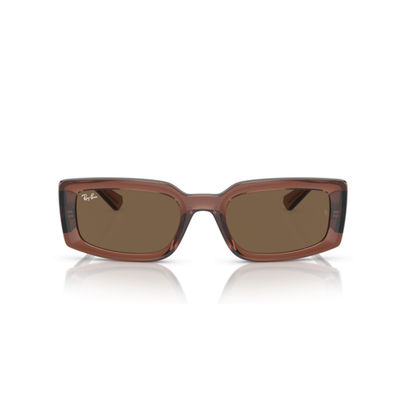 Ray-Ban RB 4395 667873 Güneş Gözlüğü