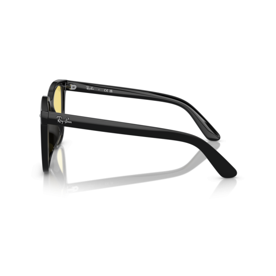 Ray-Ban RB 4401D 601/85 Güneş Gözlüğü