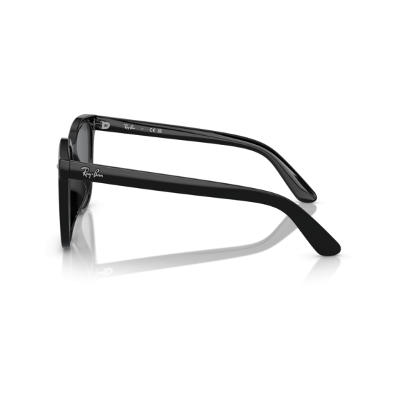 Ray-Ban RB 4401D 601/87 Güneş Gözlüğü, Ekartman: 55