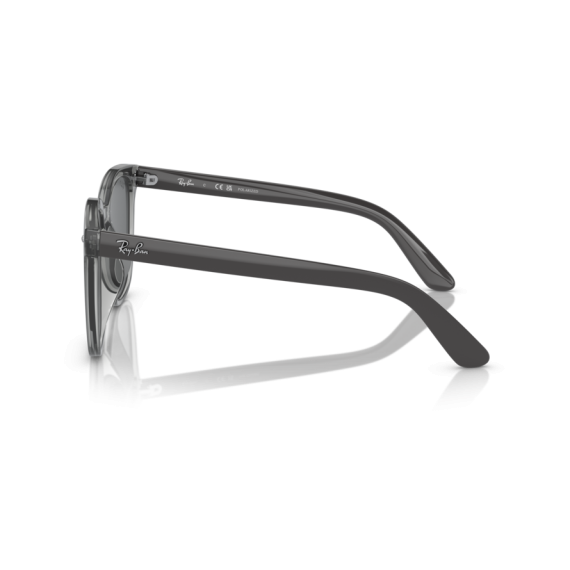 Ray-Ban RB 4401D 659981 Güneş Gözlüğü, Polarize: Evet, Ekartman: 57