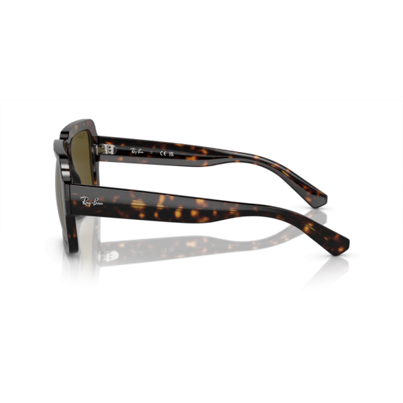 Ray-Ban RB 4408 135973 Güneş Gözlüğü
