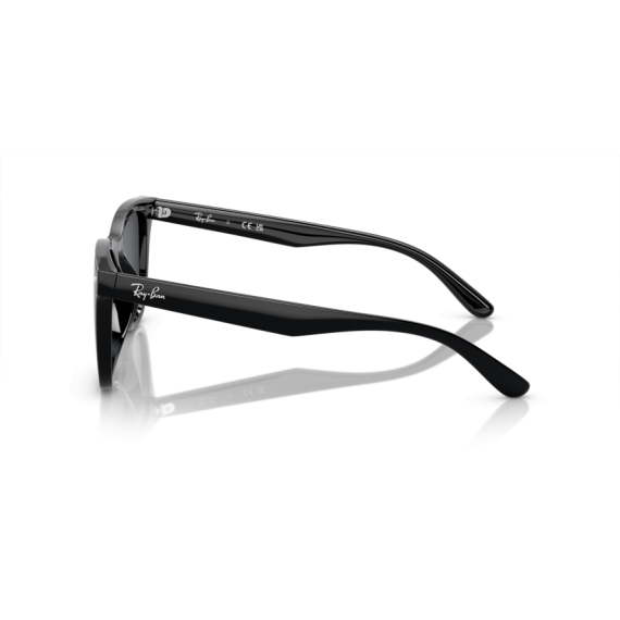 Ray-Ban RB 4420 601/87 Güneş Gözlüğü