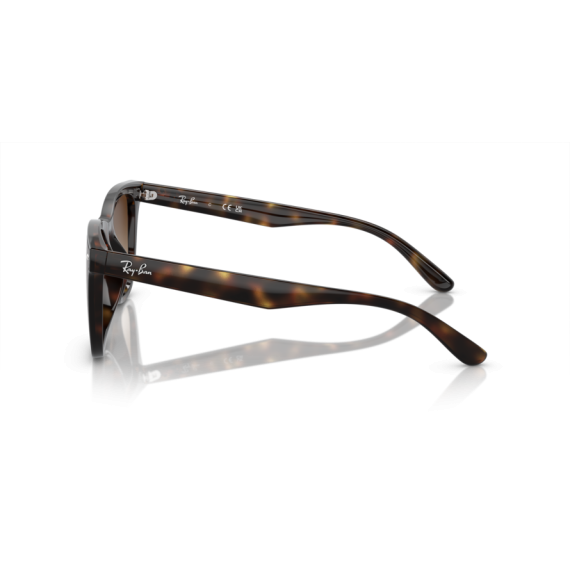 Ray-Ban RB 4420 710/13 Güneş Gözlüğü
