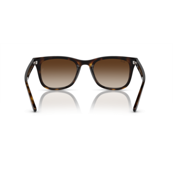 Ray-Ban RB 4420 710/13 Güneş Gözlüğü