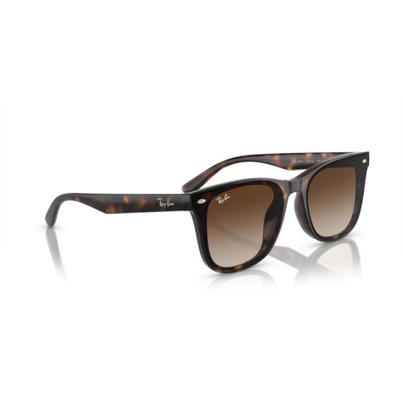 Ray-Ban RB 4420 710/13 Güneş Gözlüğü