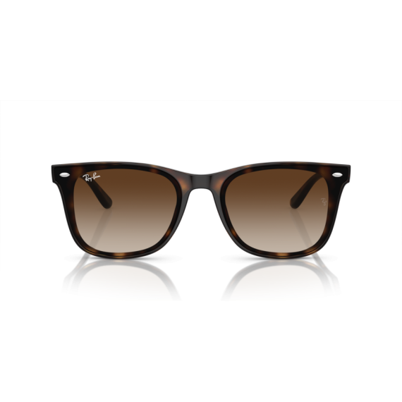 Ray-Ban RB 4420 710/13 Güneş Gözlüğü