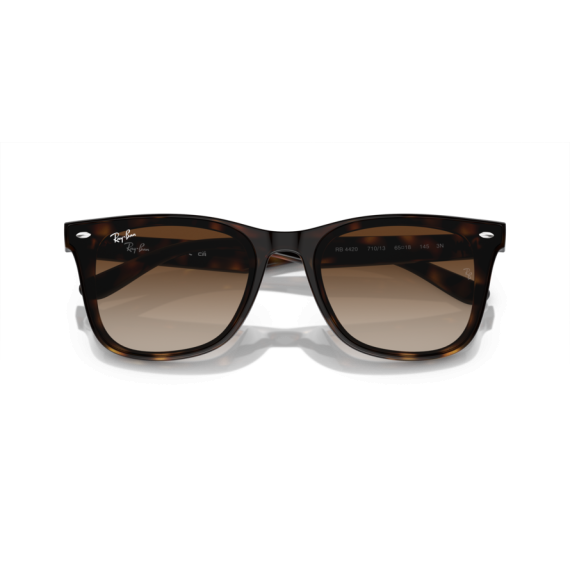 Ray-Ban RB 4420 710/13 Güneş Gözlüğü