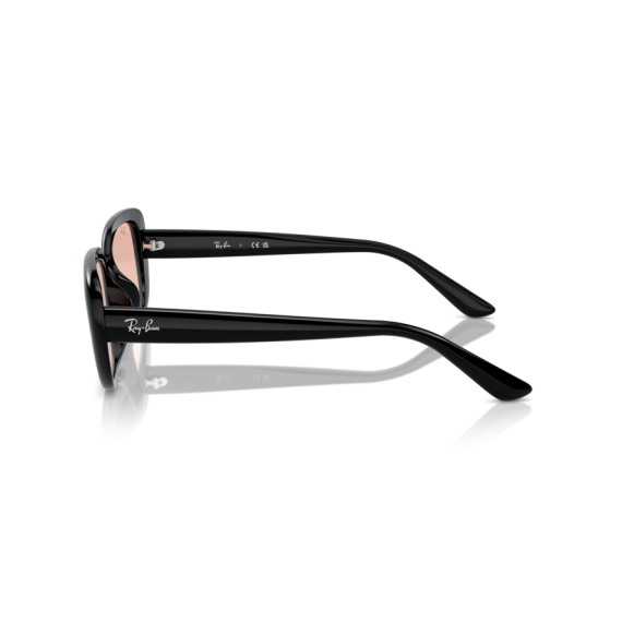 Ray-Ban RB 4421D 667784 Güneş Gözlüğü