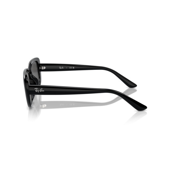 Ray-Ban RB 4421D 667787 Güneş Gözlüğü