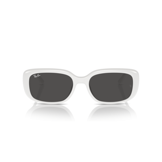 Ray-Ban RB 4421D 677287 Güneş Gözlüğü