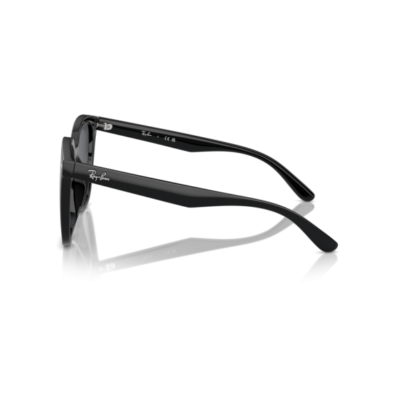 Ray-Ban RB 4423D 601/87 Güneş Gözlüğü