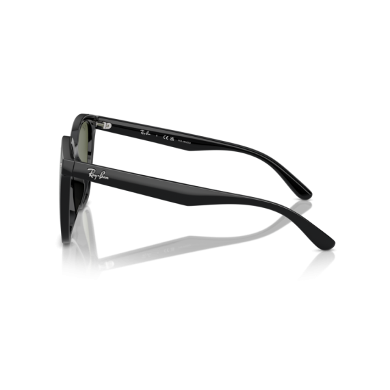 Ray-Ban RB 4423D 601/9A Güneş Gözlüğü