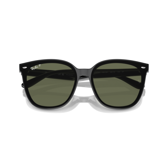 Ray-Ban RB 4423D 601/9A Güneş Gözlüğü