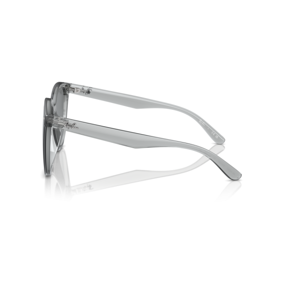 Ray-Ban RB 4423D 645087 Güneş Gözlüğü