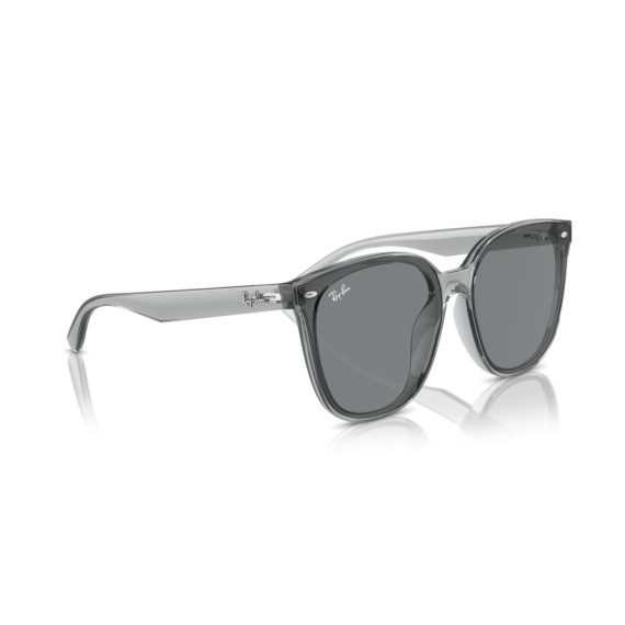 Ray-Ban RB 4423D 645087 Güneş Gözlüğü