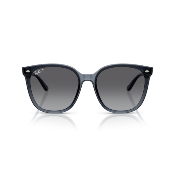 Ray-Ban RB 4423D 6592T3 Güneş Gözlüğü