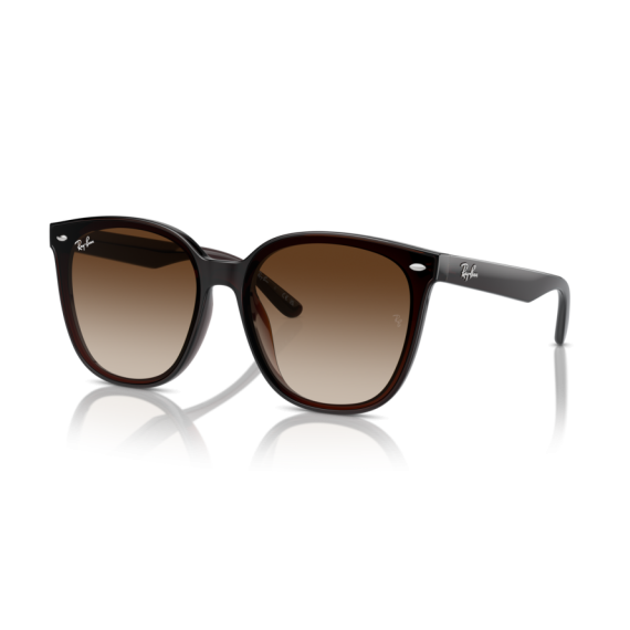 Ray-Ban RB 4423D 714/13 Güneş Gözlüğü