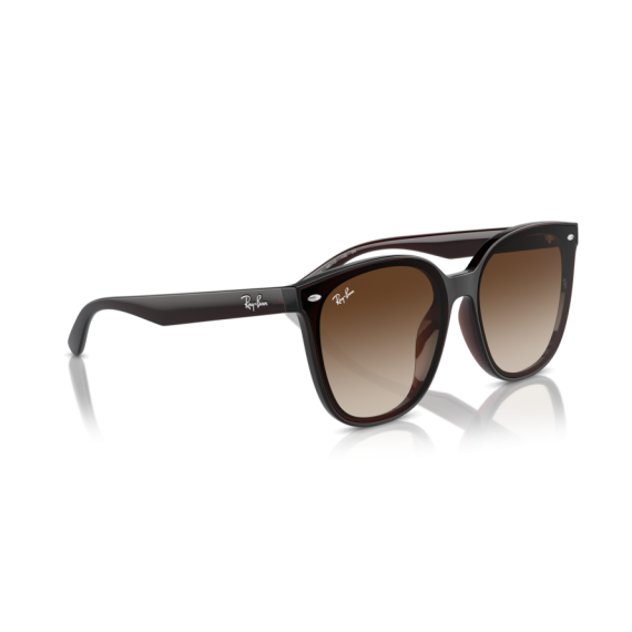 Ray-Ban RB 4423D 714/13 Güneş Gözlüğü