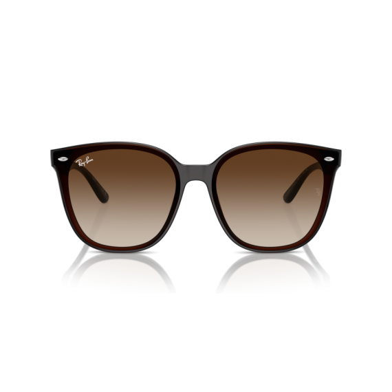 Ray-Ban RB 4423D 714/13 Güneş Gözlüğü