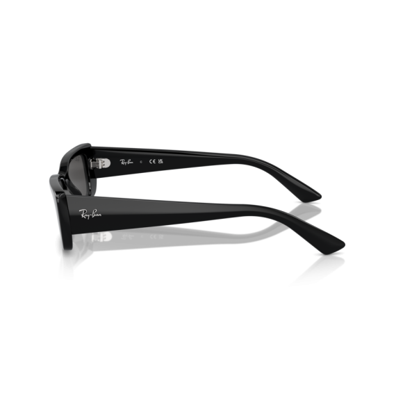 Ray-Ban RB 4425 667787 Güneş Gözlüğü