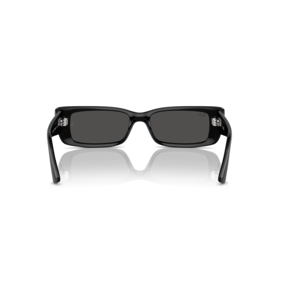 Ray-Ban RB 4425 667787 Güneş Gözlüğü