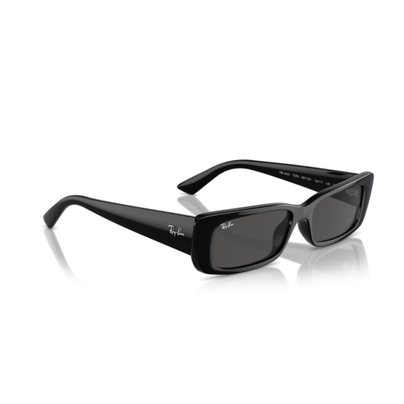 Ray-Ban RB 4425 667787 Güneş Gözlüğü