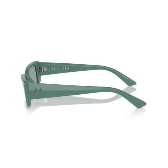 Ray-Ban RB 4425 676282 Güneş Gözlüğü