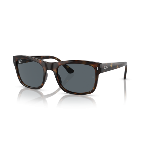 Ray-Ban RB 4428 710/R5 Güneş Gözlüğü