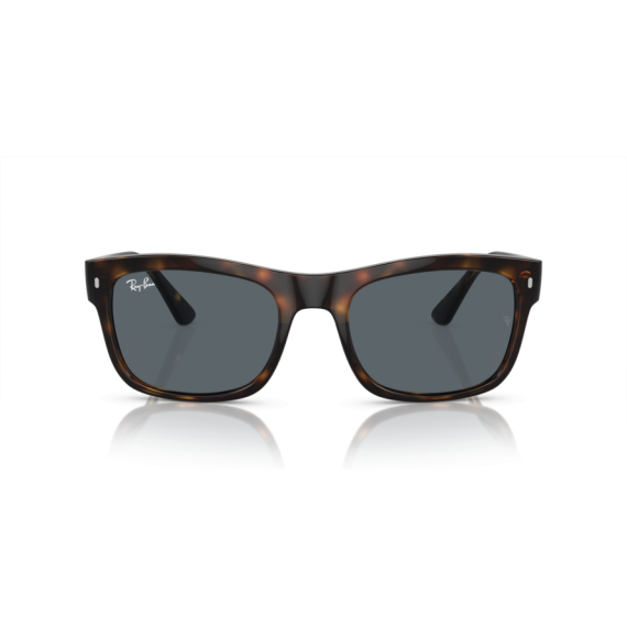 Ray-Ban RB 4428 710/R5 Güneş Gözlüğü