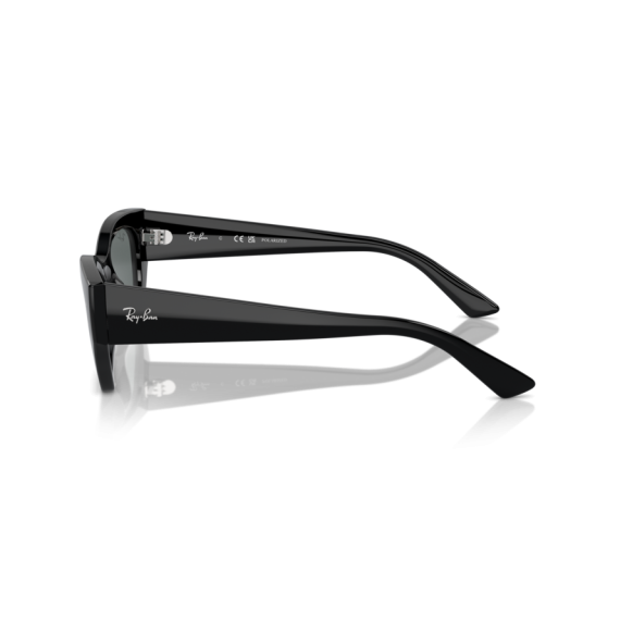 Ray-Ban RB 4430 667781 Güneş Gözlüğü, Polarize: Evet, Ekartman: 52