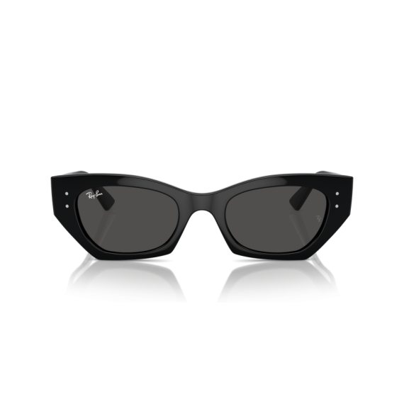 Ray-Ban RB 4430 667787 Güneş Gözlüğü, Ekartman: 49