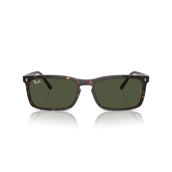 Ray-Ban RB 4435 902/31 Güneş Gözlüğü, Ekartman: 59