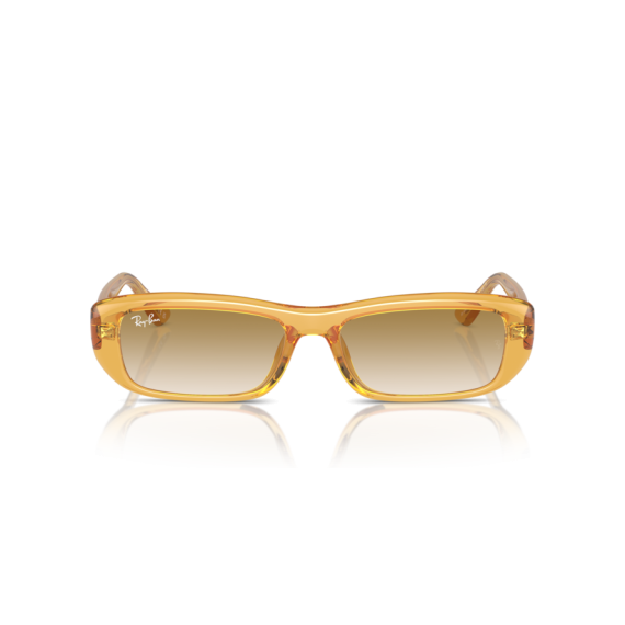Ray-Ban RB 4436D 668213 Güneş Gözlüğü