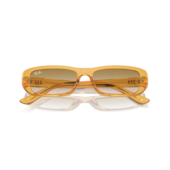 Ray-Ban RB 4436D 668213 Güneş Gözlüğü