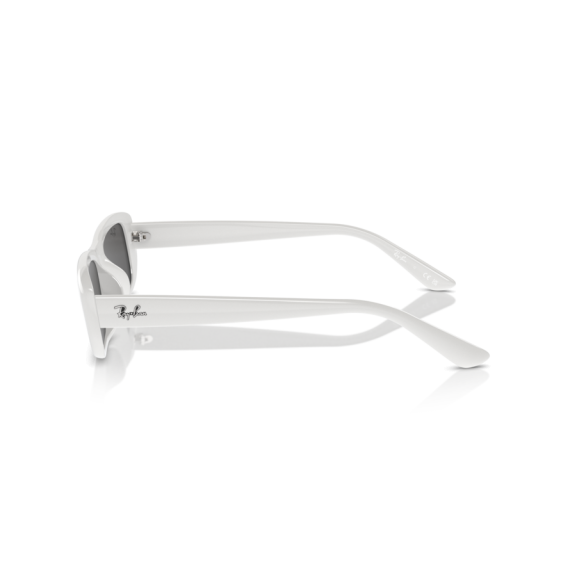 Ray-Ban RB 4436D 677287 Güneş Gözlüğü