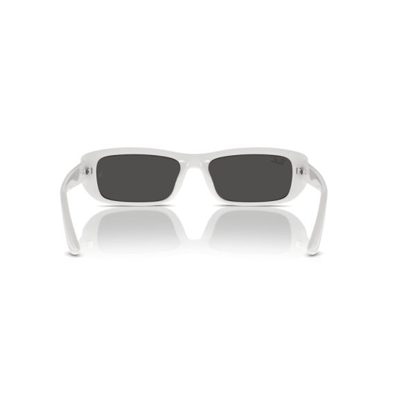 Ray-Ban RB 4436D 677287 Güneş Gözlüğü