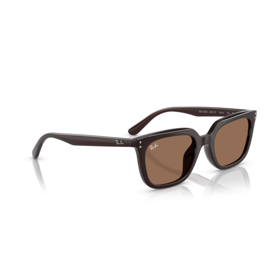 Ray-Ban RB 4439D 623173 Güneş Gözlüğü