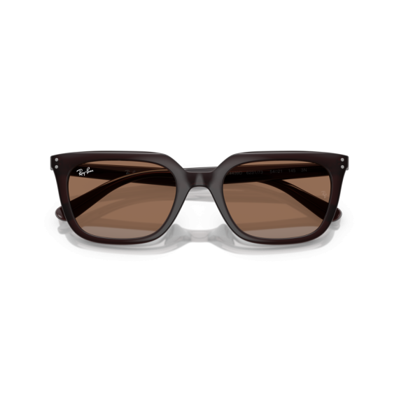 Ray-Ban RB 4439D 623173 Güneş Gözlüğü