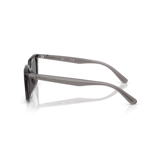 Ray-Ban RB 4439D 667587 Güneş Gözlüğü