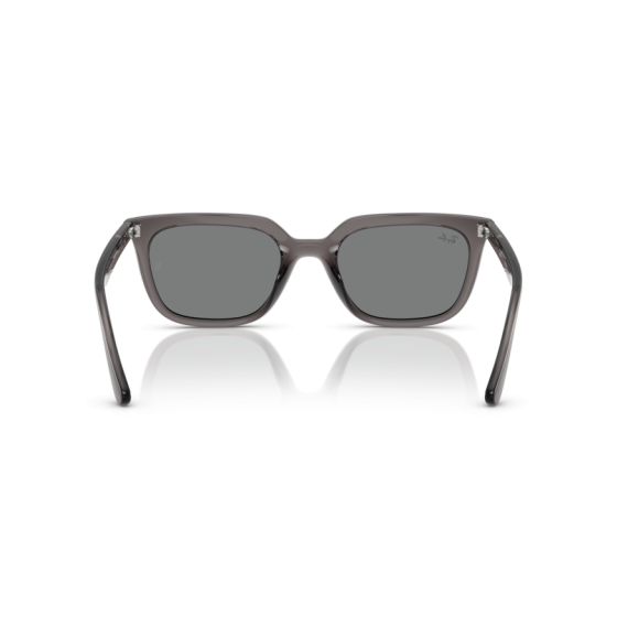 Ray-Ban RB 4439D 667587 Güneş Gözlüğü