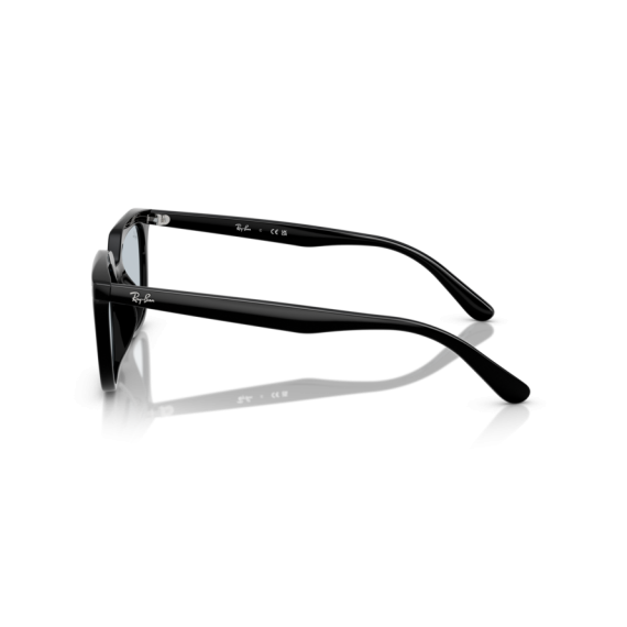 Ray-Ban RB 4439D 901/72 Güneş Gözlüğü