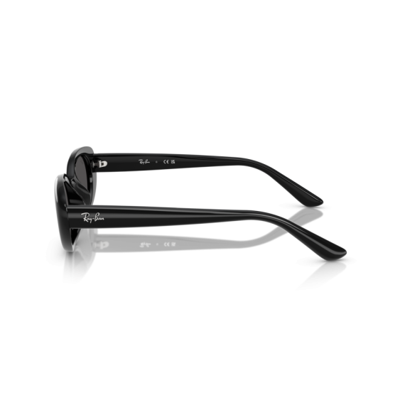 Ray-Ban RB 4441D 667787 Güneş Gözlüğü