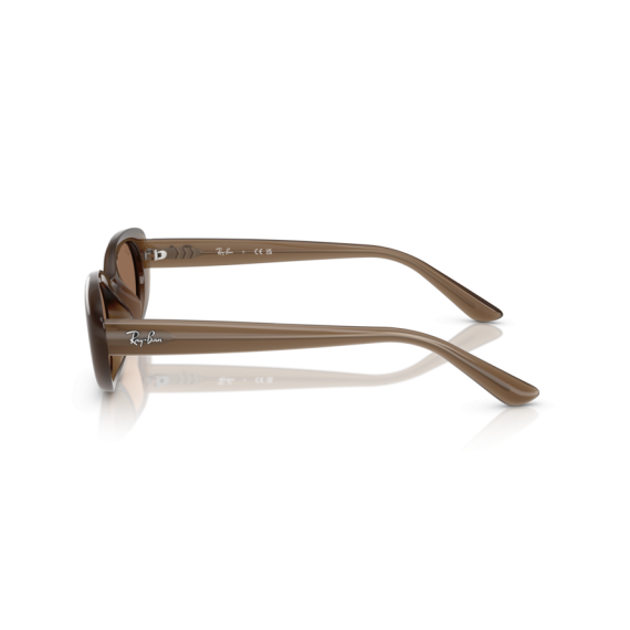 Ray-Ban RB 4441D 677973 Güneş Gözlüğü