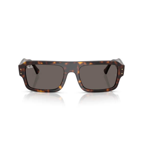 Ray-Ban RB 4454 1359B1 Güneş Gözlüğü