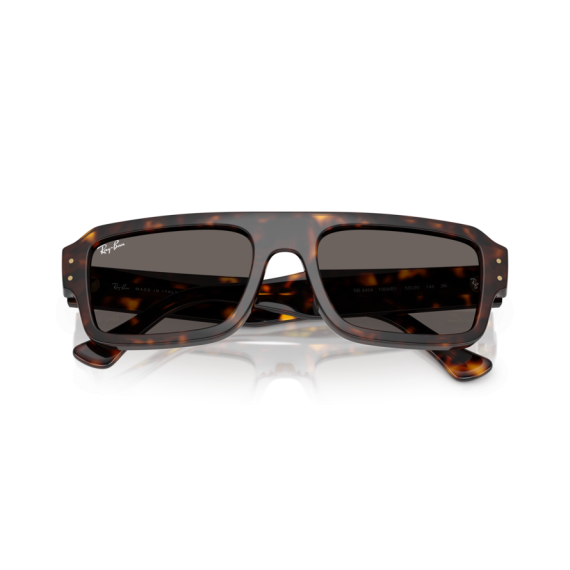Ray-Ban RB 4454 1359B1 Güneş Gözlüğü