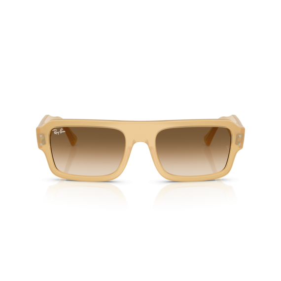 Ray-Ban RB 4454 680651 Güneş Gözlüğü